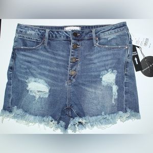 Articles of Society Claire Botton Fly High Rise Shorts